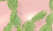 趣味测试你是怎么死的？