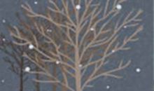 测你情商与智商是否协调？