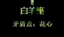 白羊座与射手座吵架的矛盾点