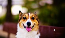 唐绮阳/唐立淇今日运势2018年3月7日