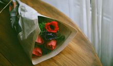 猫石对话每日运势2017年12月11日