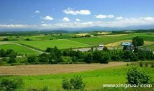 猫石对话每日运势2017年7月23日