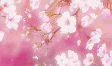 白羊座初夏躲避烂桃花