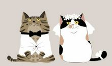 双子座今日运势2017年7月2日