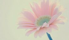 摩羯座今日运势2017年6月13日