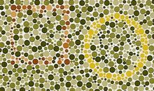 色盲色弱测试图及答案