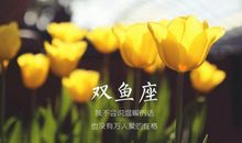 双鱼座今日运势2017年6月5日