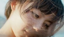 猫石对话每日运势2017年11月24日