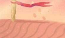 双鱼座与梦幻西游哪个门派最搭