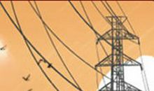 白羊不喜欢说话的原因