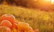 老板办公室风水需要注意的四点