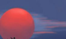 跟这些生肖借钱的成功率几乎为零