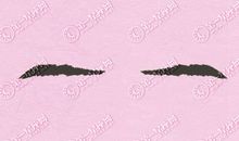 男人眉毛淡稀是不是薄情 很渣