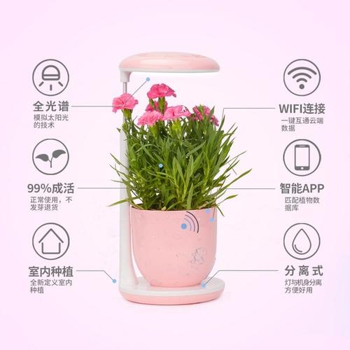 正确的花，帮助你