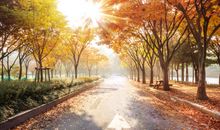 心理测试：有人追杀你，你会逃往哪条路？测出你马上有什么好事发生