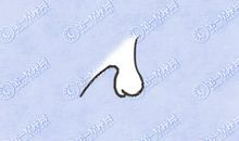 鹰钩鼻女人能交往吗 有点鹰钩鼻的女孩好吗