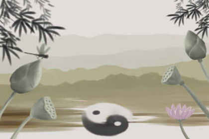 Octatus之间有什么区别？
