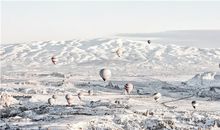 戌时是什么生肖