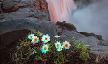 亥时是什么生肖