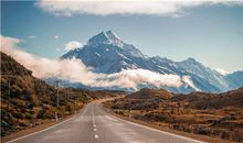 巳时是什么生肖