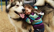 属狗双子座女生性格