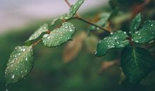 属猪摩羯座男生性格