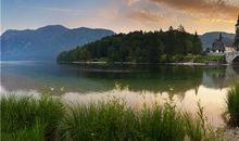 属猪狮子座男生性格