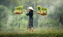 诡魅塔罗今日运势2020年10月13日