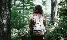 属蛇人的上进心如何