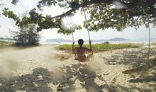 属鸡人的上进心如何