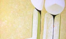 云意三千塔罗占卜2016年4月运势