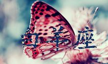 白羊座的爱情回头率高吗