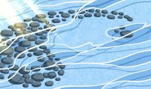 1997年出生是什么命？(火牛之命)