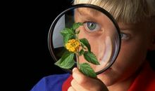 你是否具备敏锐的观察力