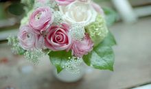 12星座加生肖的先天性格