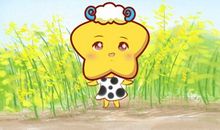 狂月天时 十二星座每周运势吉凶10.19-10.25