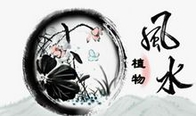 辟邪花卉 镇宅又聚财的花