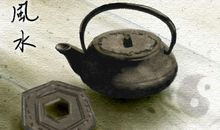 家里化煞的植物有哪些