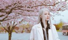 诡魅塔罗今日运势2020年10月20日