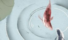 影响财运的五类风水