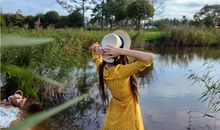 属虎人容易陷入何种爱情危机