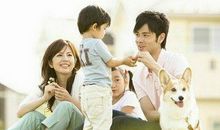 十二生肖青年爱家指数