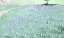 狮子座周运势8.12-8.18