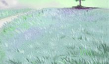 水瓶座周运势8.12-8.18