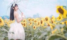 张鑫龙2020年10月31日生肖运势