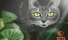 批八字在线测算查询