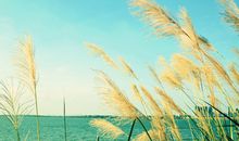 测测你这辈子会一直是穷人吗