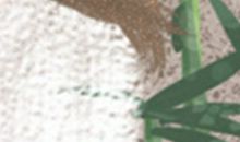 他不爱你的理由是什么