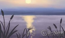 海百合12星座塔罗牌运势9.01-9.02