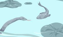 梦见蛇和水什么预兆